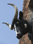 901108 Afbeelding van een koeienkop als gevelteken, aan de voorgevel van de voormalige Kleine Vleeshal (Lange ...